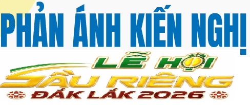pakn le hoi sau rieng